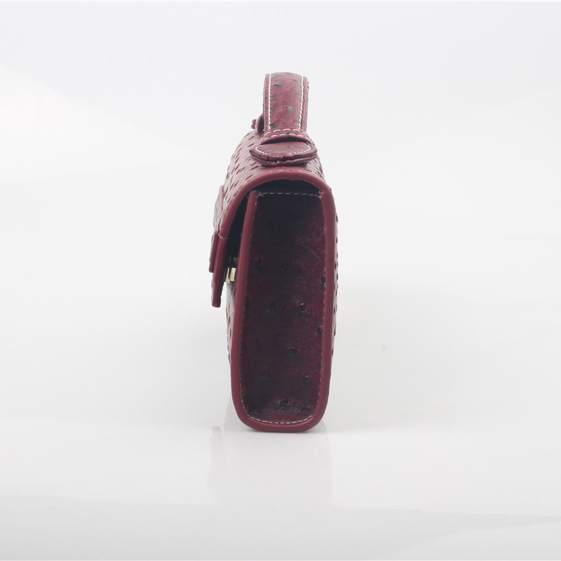 Dubai New Women Ostrich Patter - Women Bags Dubai 评论和价格